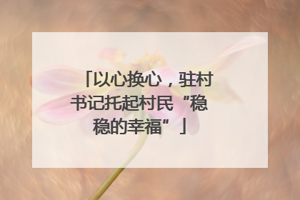 以心换心，驻村书记托起村民“稳稳的幸福”