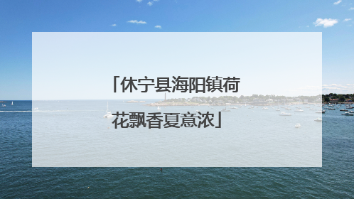 休宁县海阳镇荷花飘香夏意浓