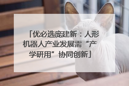 优必选庞建新：人形机器人产业发展需“产学研用”协同创新