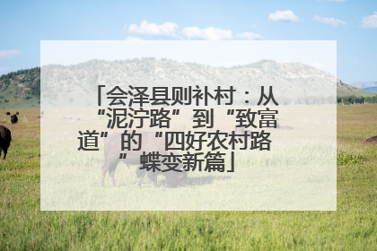 会泽县则补村：从“泥泞路”到“致富道”的“四好农村路”蝶变新篇