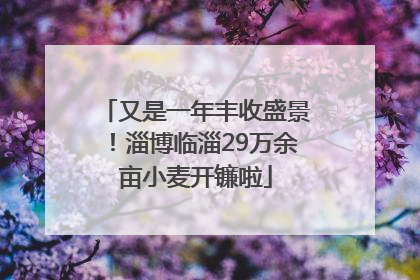 又是一年丰收盛景！淄博临淄29万余亩小麦开镰啦