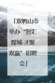 双鸭山市举办“智汇煤城·才聚双赢”招聘会