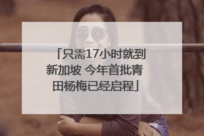 只需17小时就到新加坡 今年首批青田杨梅已经启程
