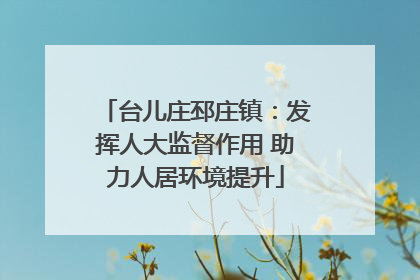 台儿庄邳庄镇：发挥人大监督作用 助力人居环境提升