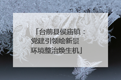台前县侯庙镇：党建引领绘新景 环境整治焕生机