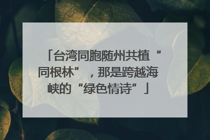 台湾同胞随州共植“同根林”，那是跨越海峡的“绿色情诗”