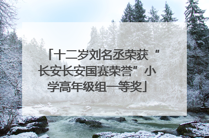 十二岁刘名丞荣获“长安长安国赛荣誉”小学高年级组一等奖