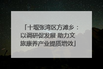 十堰张湾区方滩乡：以调研促发展 助力文旅康养产业提质增效