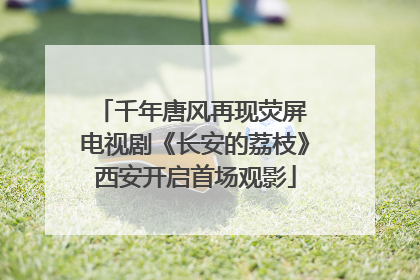 千年唐风再现荧屏 电视剧《长安的荔枝》西安开启首场观影
