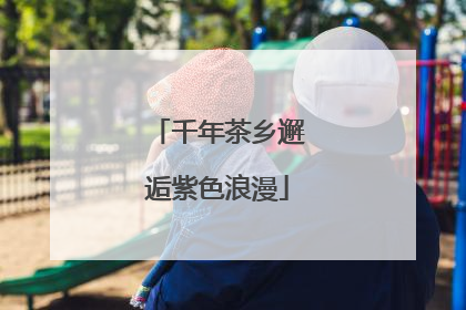 千年茶乡邂逅紫色浪漫