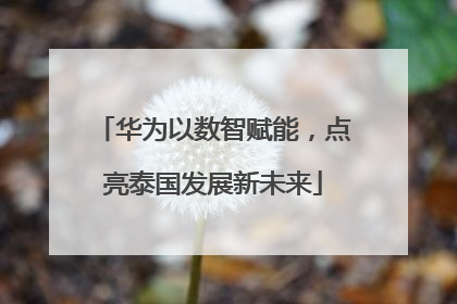 华为以数智赋能，点亮泰国发展新未来