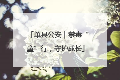 单县公安｜禁毒“童”行，守护成长