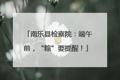 南乐县检察院：端午前，“粽”要提醒！
