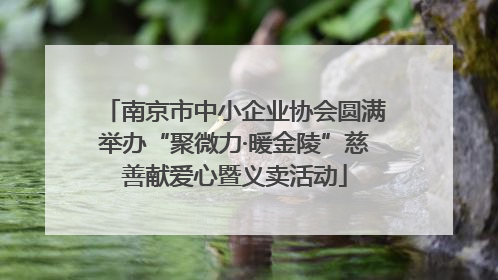 南京市中小企业协会圆满举办“聚微力·暖金陵”慈善献爱心暨义卖活动