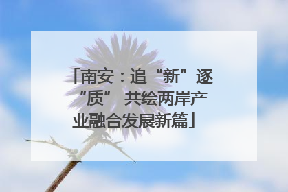 南安：追“新”逐“质” 共绘两岸产业融合发展新篇