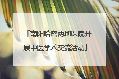 南阳哈密两地医院开展中医学术交流活动