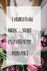 南阳市宛城区：党群合力筑牢禁烧防线