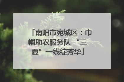 南阳市宛城区：巾帼助农服务队 “三夏”一线绽芳华