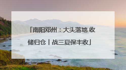 南阳邓州：大头落地 收储归仓丨战三夏保丰收