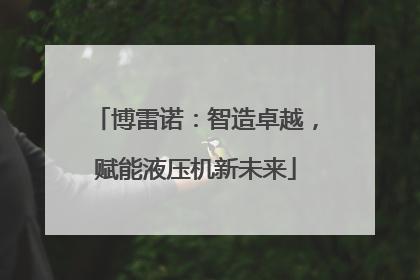 博雷诺：智造卓越，赋能液压机新未来