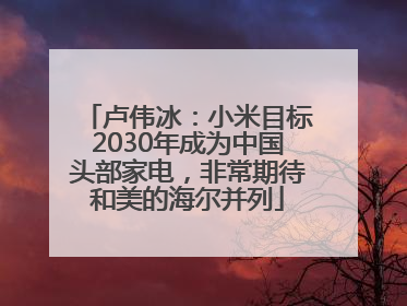 卢伟冰：小米目标2030年成为中国头部家电，非常期待和美的海尔并列