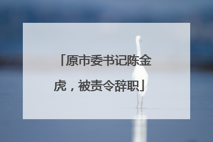 原市委书记陈金虎，被责令辞职