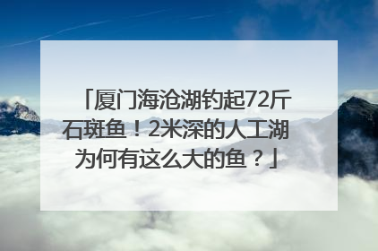厦门海沧湖钓起72斤石斑鱼！2米深的人工湖为何有这么大的鱼？