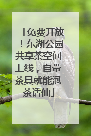 免费开放！东湖公园共享茶空间上线，自带茶具就能泡茶话仙