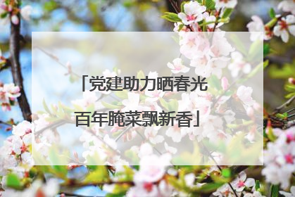 党建助力晒春光 百年腌菜飘新香