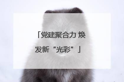 党建聚合力 焕发新“光彩”