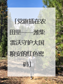 党旗插在农田里——潍柴雷沃守护大国粮安的红色密码