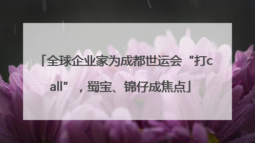 全球企业家为成都世运会“打call”，蜀宝、锦仔成焦点