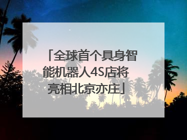 全球首个具身智能机器人4S店将亮相北京亦庄