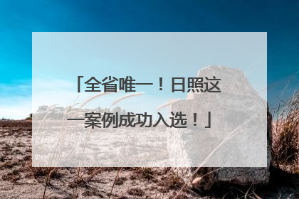 全省唯一！日照这一案例成功入选！