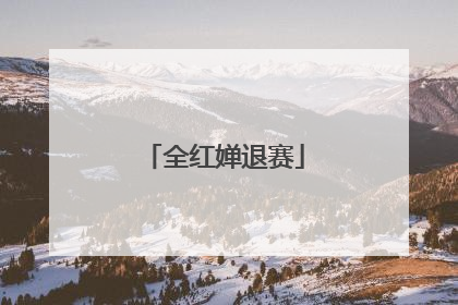 全红婵退赛