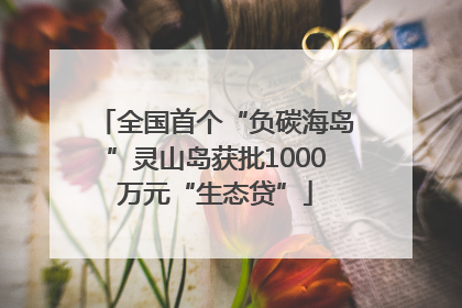 全国首个“负碳海岛”灵山岛获批1000万元“生态贷”