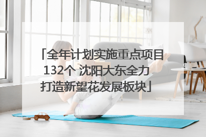全年计划实施重点项目132个 沈阳大东全力打造新望花发展板块