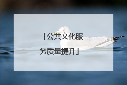 公共文化服务质量提升