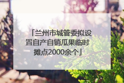 兰州市城管委拟设置自产自销瓜果临时摊点2000余个