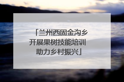 兰州西固金沟乡开展果树技能培训 助力乡村振兴