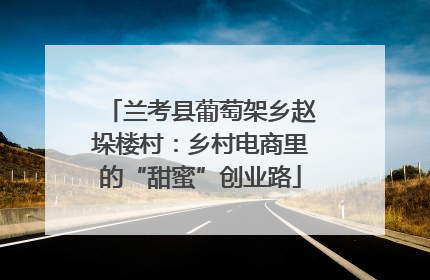 兰考县葡萄架乡赵垛楼村：乡村电商里的“甜蜜”创业路