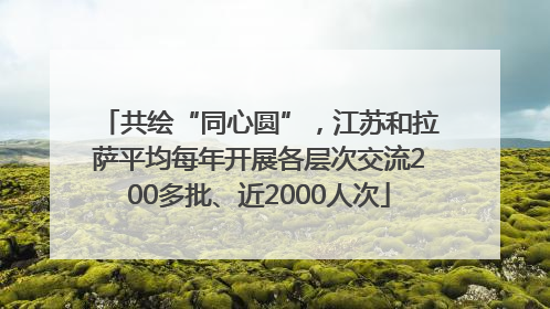 共绘“同心圆”，江苏和拉萨平均每年开展各层次交流200多批、近2000人次