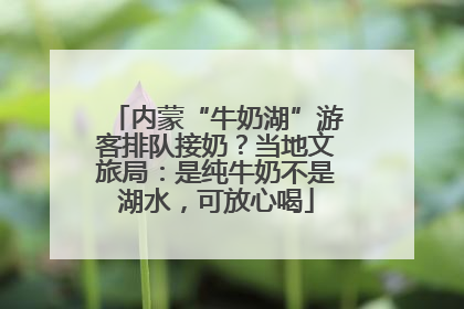 内蒙“牛奶湖”游客排队接奶？当地文旅局：是纯牛奶不是湖水，可放心喝