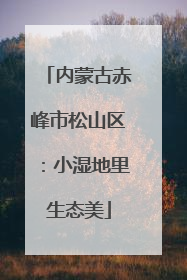 内蒙古赤峰市松山区：小湿地里生态美