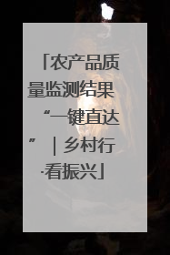 农产品质量监测结果“一键直达”｜乡村行·看振兴