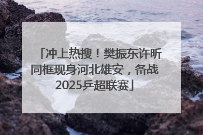 冲上热搜！樊振东许昕同框现身河北雄安，备战2025乒超联赛