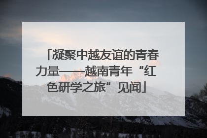 凝聚中越友谊的青春力量——越南青年“红色研学之旅”见闻