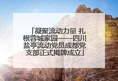 凝聚流动力量 扎根蓉城家园——四川盐亭流动党员成都党支部正式揭牌成立