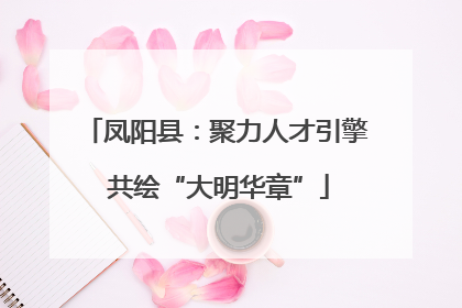 凤阳县：聚力人才引擎 共绘“大明华章”