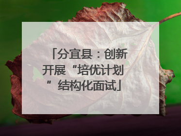 分宜县：创新开展“培优计划”结构化面试